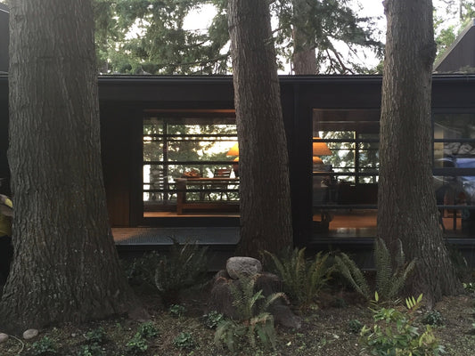 GALLERY: EXTERIORS 75