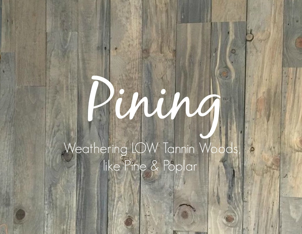 PINING Reactive Wood Stain